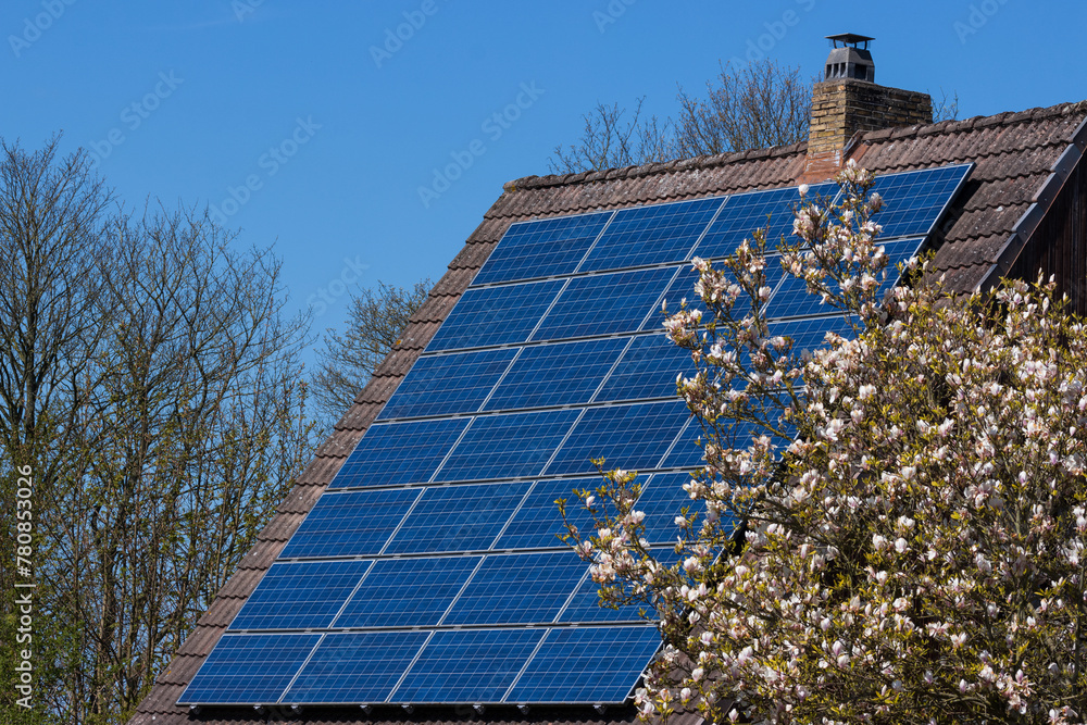 Photovoltaikanlage , Solarenergie
