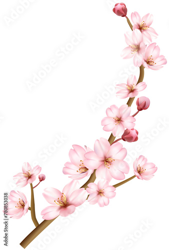 Frame Pink Cherry Blossom Flower - Editor Choice