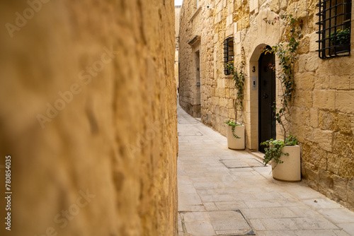 Silent City  Mdina  Malta  sunny day