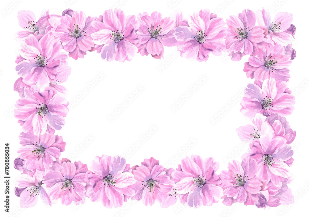 Spring sakura cherry blooming flowers horizontal frame. Seasonal. Watercolour flower decor hand drawn illustration. Greeting cards. Isolated on white background. Painted botanical floral elements.
