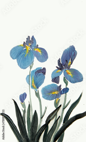 blooming blue irises © hikolaj2