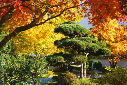 Japanischer Garten in Bielefeld im Herbst