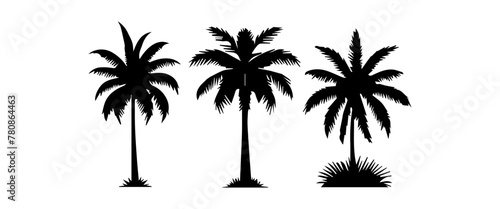 Black palm trees set isolated on white background. Palm silhouettes. Design of palm trees for posters  banners and promotional items. Vector illustration