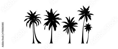 Black palm trees set isolated on white background. Palm silhouettes. Design of palm trees for posters  banners and promotional items. Vector illustration