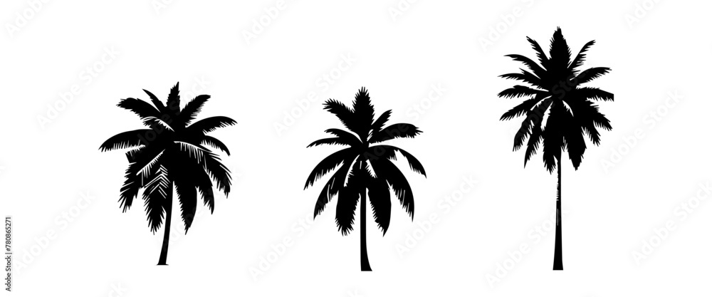Black palm trees set isolated on white background. Palm silhouettes. Design of palm trees for posters, banners and promotional items. Vector illustration Black palm trees set isolated on white background. Palm silhouettes. Design of palm trees for posters, banners and promotional items. Vector illustration