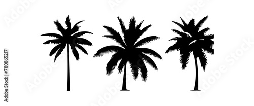 Black palm trees set isolated on white background. Palm silhouettes. Design of palm trees for posters  banners and promotional items. Vector illustration