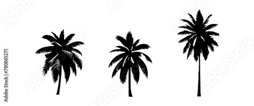 Black palm trees set isolated on white background. Palm silhouettes. Design of palm trees for posters  banners and promotional items. Vector illustration