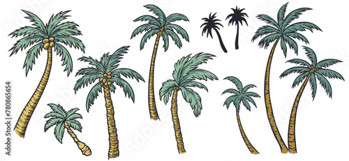 Hand-drawn tropical palm tree collection with exotic, beach, and surfing illustrations for graphic design, vector artwork, and coastal decor in a natural island environment