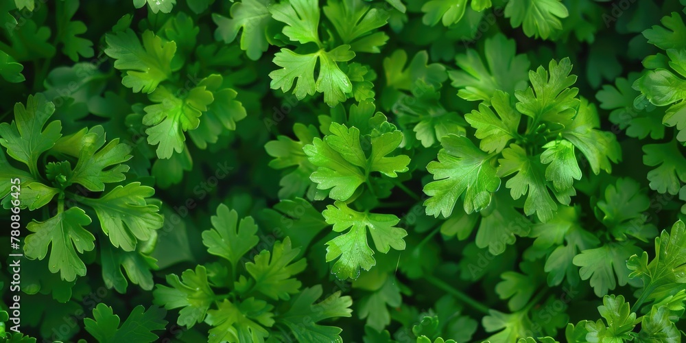 Detailed close-up shot of vibrant green leaves, perfect for nature-themed projects Detailed close-up shot of vibrant green leaves, perfect for nature-themed projects