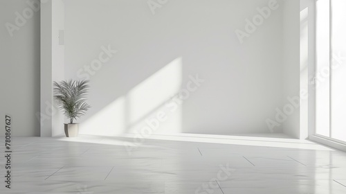 A white room with a potted plant in front of a window. Suitable for interior design concepts