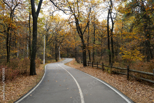 Winding asphalt road with markings in autumn forest. Cloudy weather