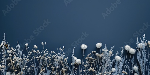 Beautiful white flowers contrasted against a deep blue backdrop. Perfect for floral designs
