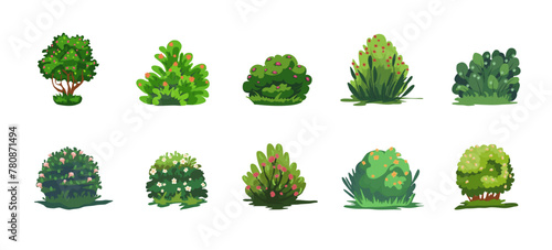 Cartoon Color Different Shrubberies with Flowers Set Concept Flat Design Style. Vector illustration of Garden Blooming Bush