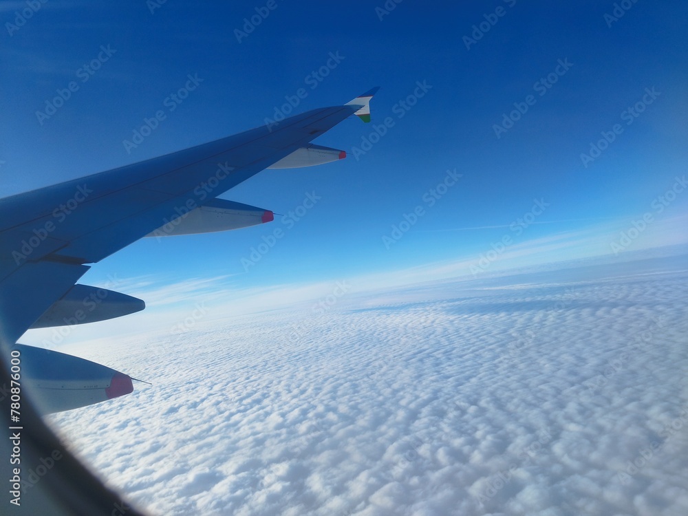 Obraz premium wing of airplane
