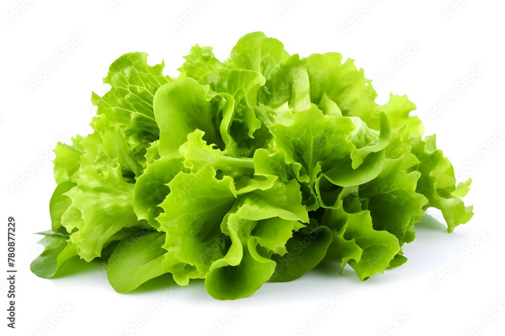 Green fresh lettuce leaves isolated on a white background Green fresh lettuce leaves isolated on a white background