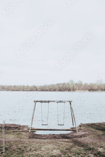 swing on the beach