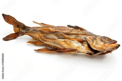 Stockfish isolated on white background photo