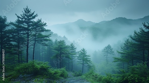   A dense forest shrouded in mist, with numerous trees lining a dirt path leading into the depths of the green woodland © Liel