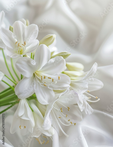 White agapanthus on satin fabric
