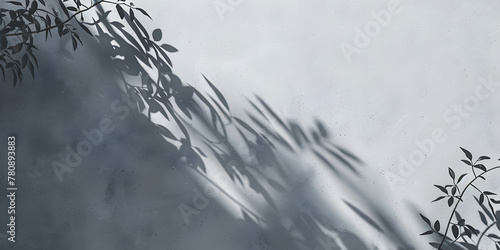 Minimalistic abstract empty gray concrete stone wall mockup background for product presentation. Neutral industrial interior with light  plants and foliage shadow from window.