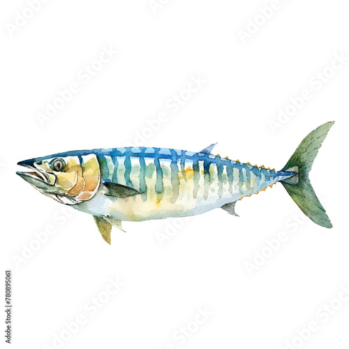 mackerel vector illustration in watercolour style