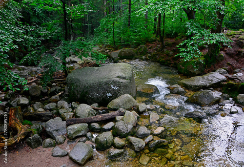górski potok, wartki strumień leśny płynący miedzy kamieniami, a mountain stream, a fast forest stream flowing between stones 