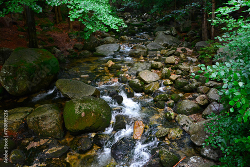 górski potok, wartki strumień leśny płynący miedzy kamieniami, a mountain stream, a fast forest stream flowing between stones 