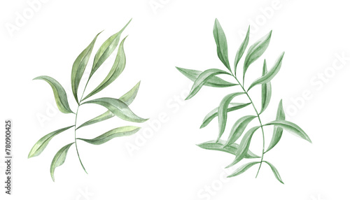 Set of watercolor abstract leaves. Green Branch. Collection botanical elements isolated on white background. Illustration for Valentines day, birthday, mothers day, greeting, wedding Invitation.