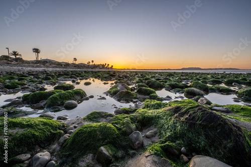 Morning sunshine reflecting in the kelp covered slippery rocks of the ocean tide pools in Ventura, California