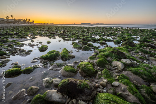 Morning sunshine reflecting in the rocky tide pools as low tide happens on the west coast © motionshooter