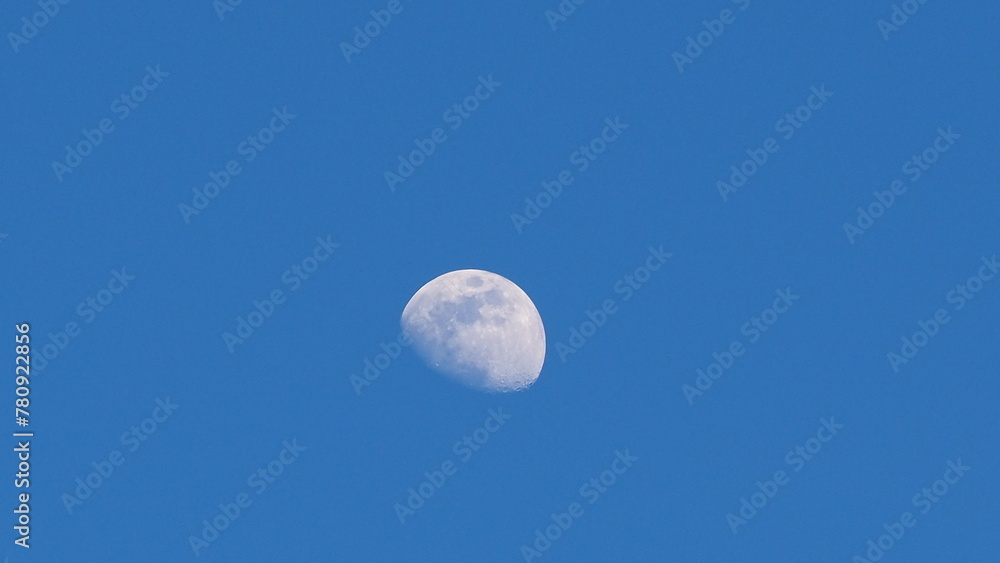 moon moon