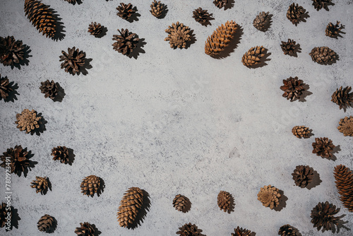 White snow surface with natural plant pine cones forming a circle pattern