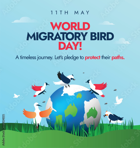 World Migratory Bird Day. 11th May 2024 world migratory bird day celebration, awareness banner with earth globe and birds around it. The conservation theme this year is Protect Insects, Protect Birds. photo