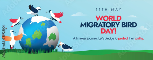 World Migratory Bird Day. 11 May world migratory bird day conceptual cover banner, post with earth globe and different migratory birds around it. Protect Insects, Protect Birds awareness banner