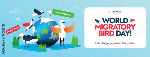 World Migratory Bird Day. 11 May world migratory bird day conceptual cover banner, post with earth globe and different migratory birds around it. Protect Insects, Protect Birds awareness banner.