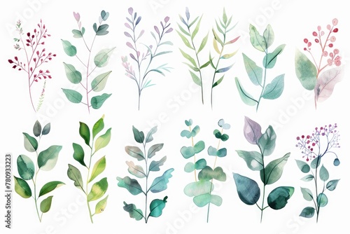 A beautiful set of watercolor flowers and leaves. Perfect for various design projects