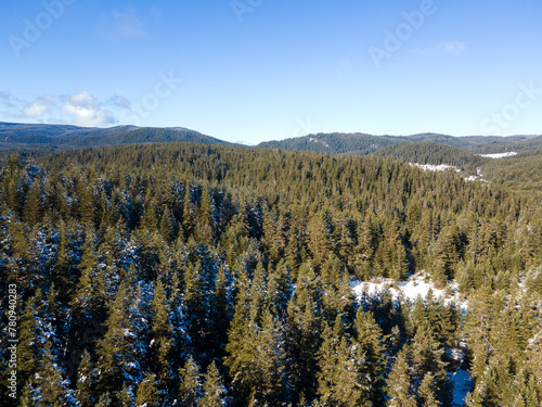 Aerial winter view of Beglika Reservoir, Bulgaria photo