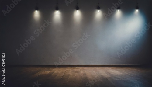 empty white wall with 5 spot lights and wooden floor