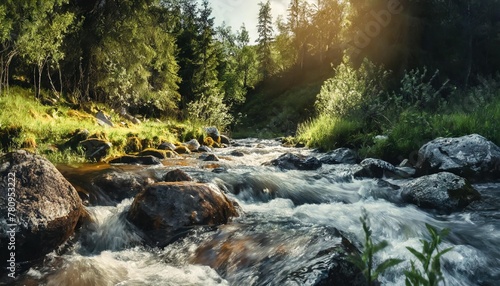 rapid mountain river in spruce forest wonderful sunny morning in springtime grassy river bank and rocks on the shore waves above boulders in the water beautiful nature scenery photo