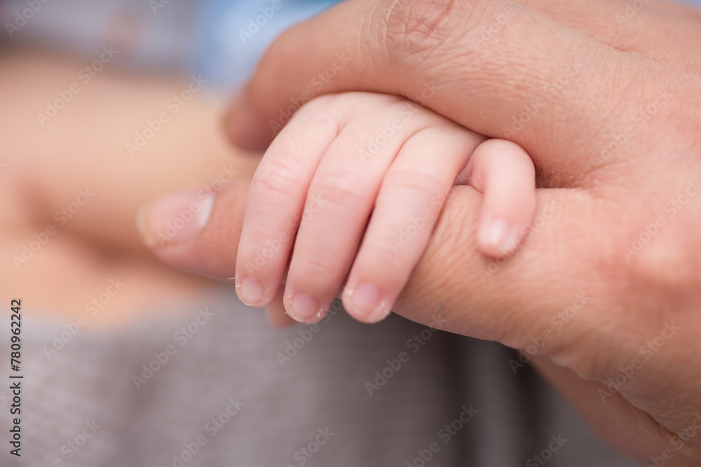 Tiny little newborn hands Tiny little newborn hands