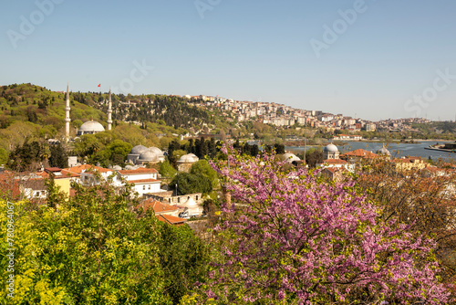 Juda Trees and Iconic Eyup District photo
