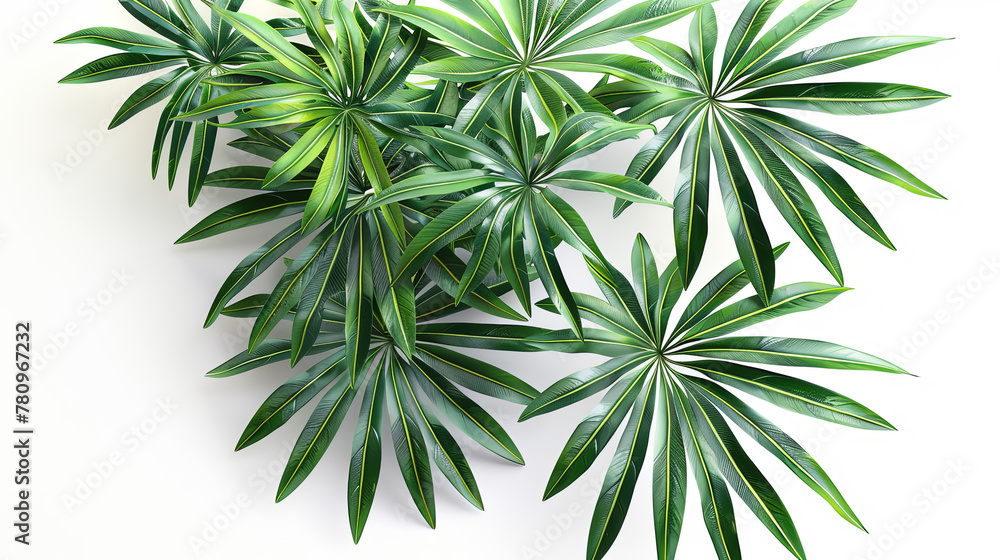 A photorealistic image of foliage on a white background is featured in the image with a unique perspective and intricate details.