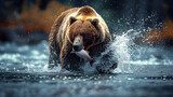 Wild Brown Bear Splashing Through the River, Proudly Displaying His Fresh Salmon Catch
