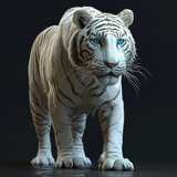 White Bengal Tiger Prowling

