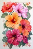 Hibiscus, Bold, layered hibiscus flowers in vibrant hues of pink, orange, and red, showcasing the opacity of gouache , Gouache Floral borders and frame illustration
