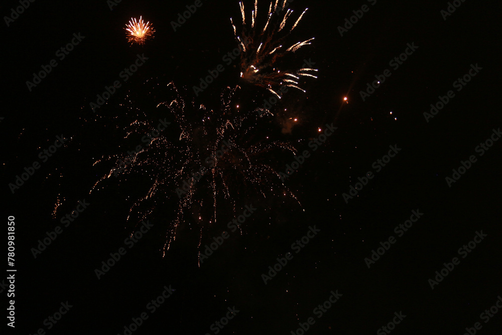 fireworks in the night sky fireworks in the night sky