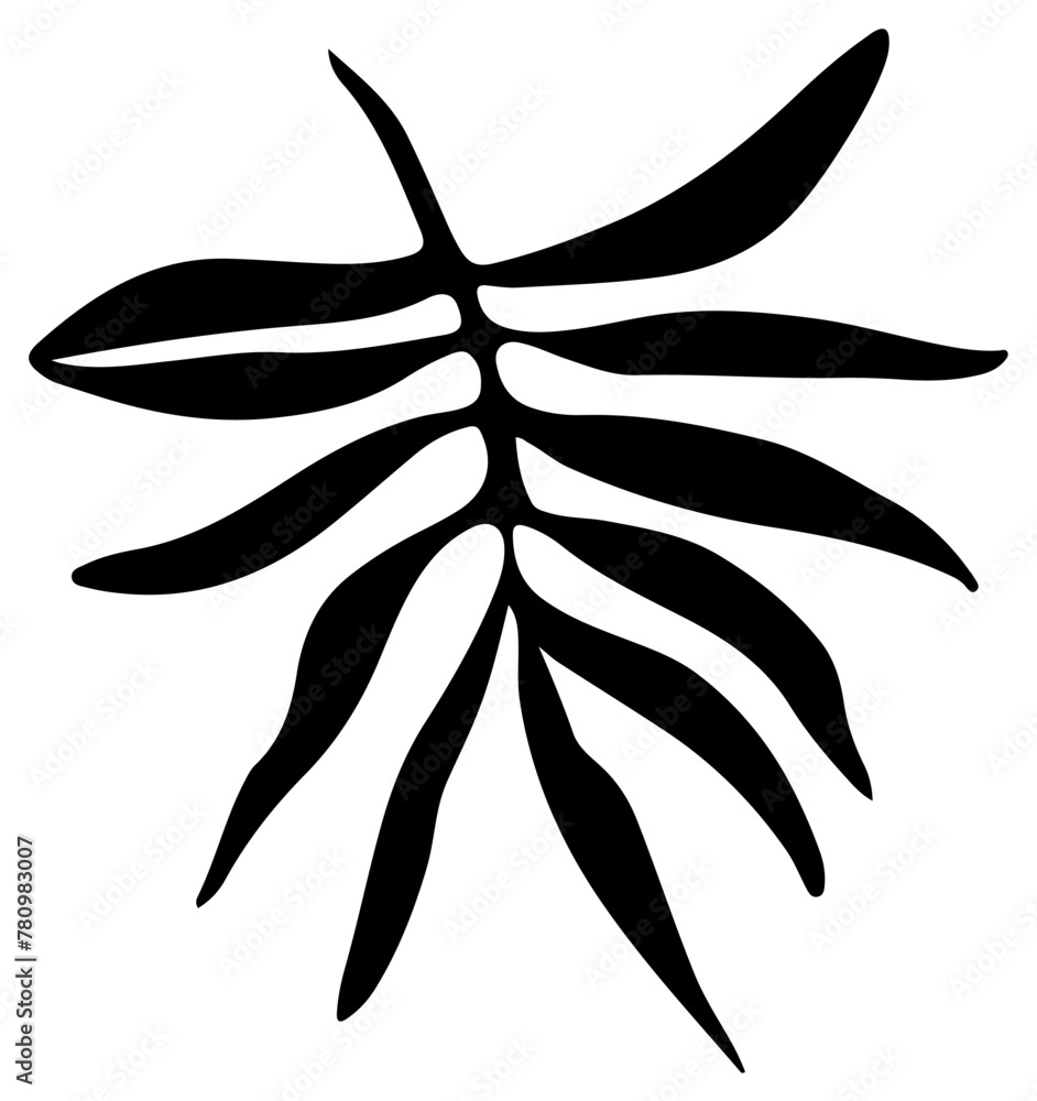 Monstera Tropical Leaf Silhouette Palm Vector Illustration Monstera Tropical Leaf Silhouette Palm Vector Illustration
