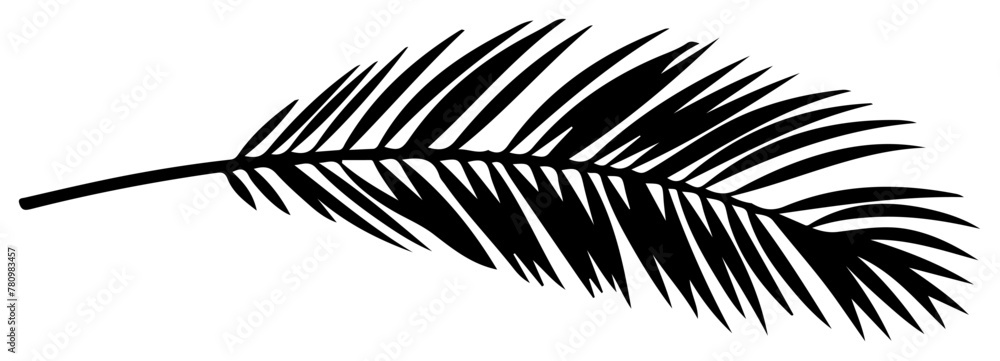 Monstera Tropical Leaf Silhouette Palm Vector Illustration Monstera Tropical Leaf Silhouette Palm Vector Illustration