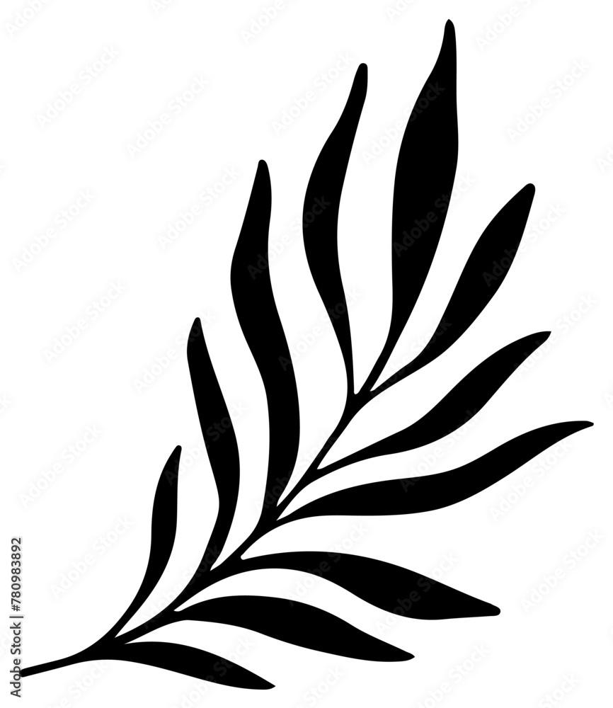 Monstera Tropical Leaf Silhouette Palm Vector Illustration