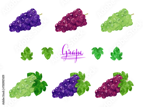 水彩で描いたぶどうのイラストセット